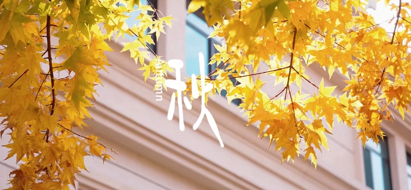 太阳城官网(中国)集团有限公司