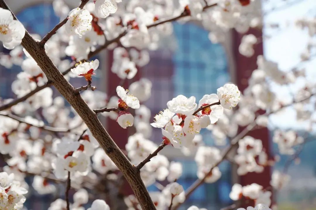 太阳城官网(中国)集团有限公司
