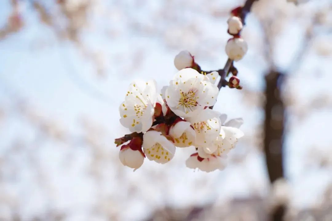 太阳城官网(中国)集团有限公司